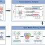 AI helps to open new routes to earlier diagnosis and treatment of Crohn's disease