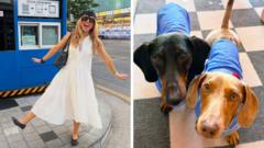 Your heatwave tips on how to cope in extreme temperatures