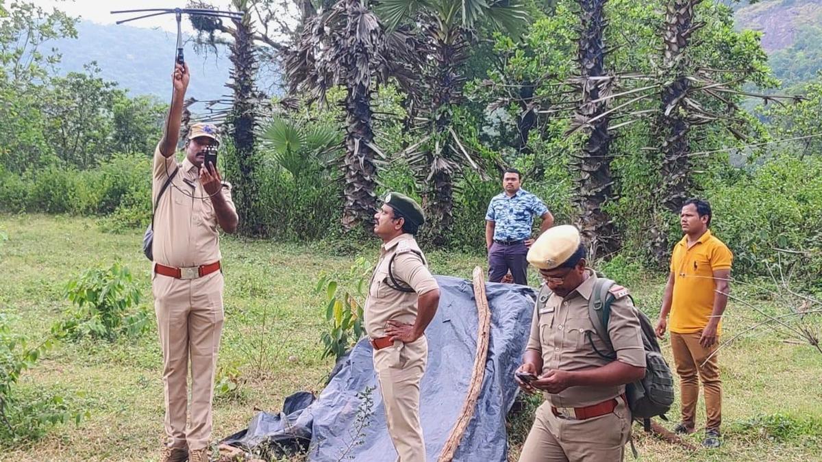 Male tiger, Explorer’ attacks two buffaloes in Kakinada district