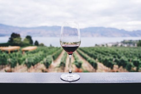 Six wine-growing regions in Spain to enjoy the grape harvest this autumn