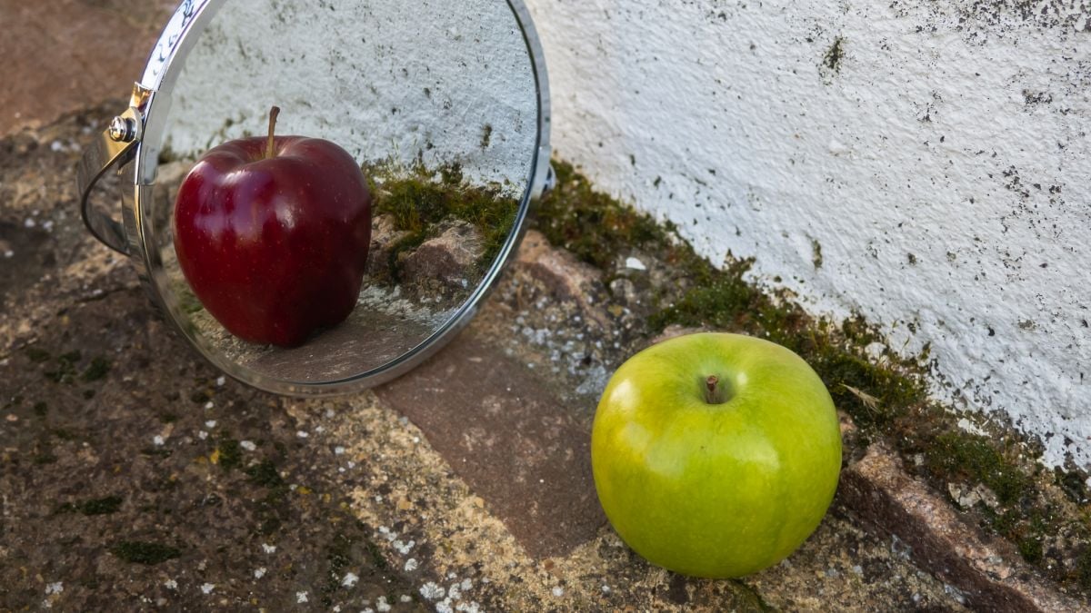 Scientists Have Built a 'Lying Mirror' That Deliberately Shows You The Wrong Image