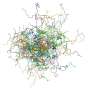 Cancer protein p53 observed in action reveals more order than expected