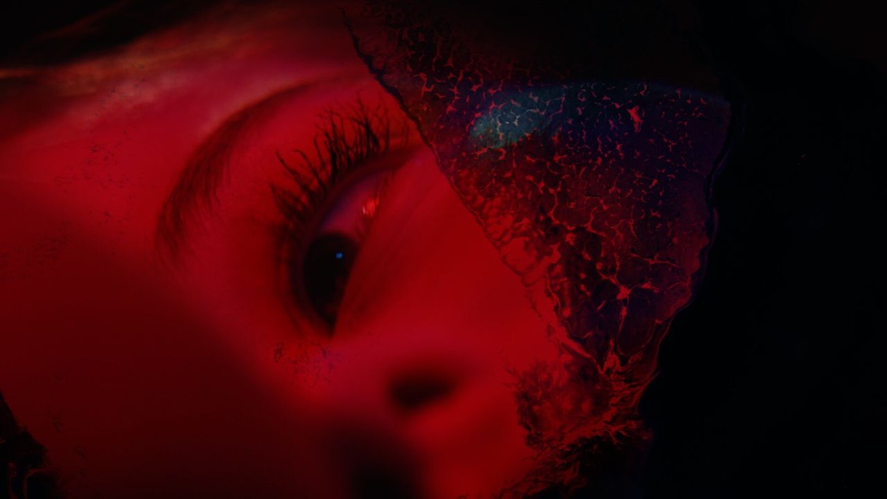 Immortality creator Sam Barlow reveals his next game: A 'sci-fi horror' collaboration with Brandon Cronenberg