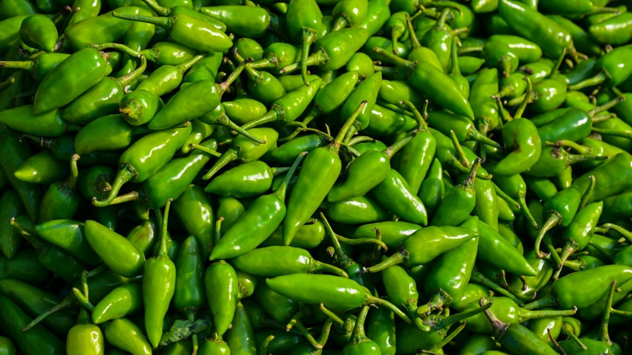 Taylor Farms Recalls Salsa, Guacamole Products With Jalapeños Due to Salmonella
