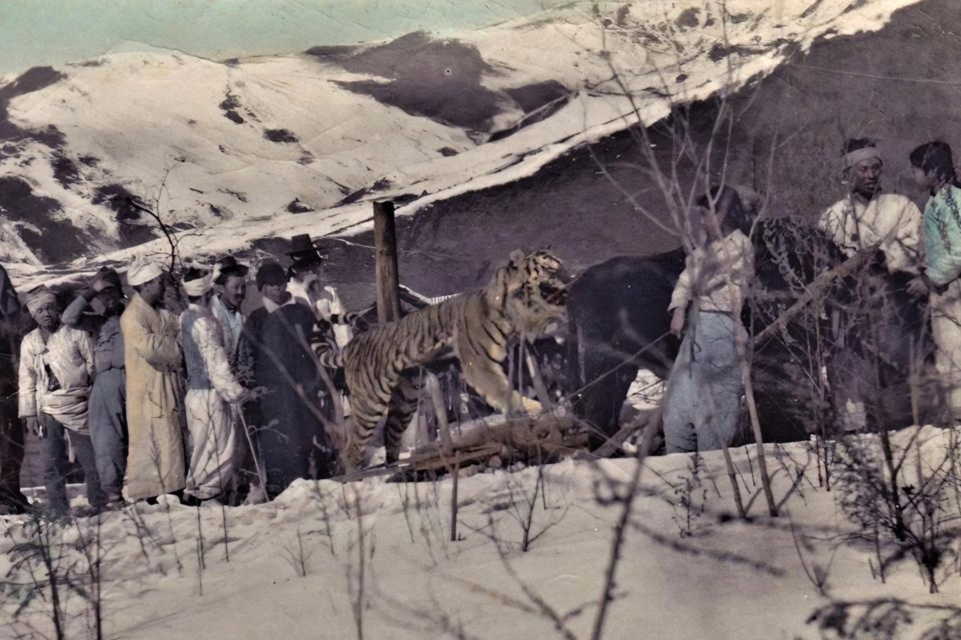 [3] Life at the American gold mines in northern Korea: When tigers reigned
