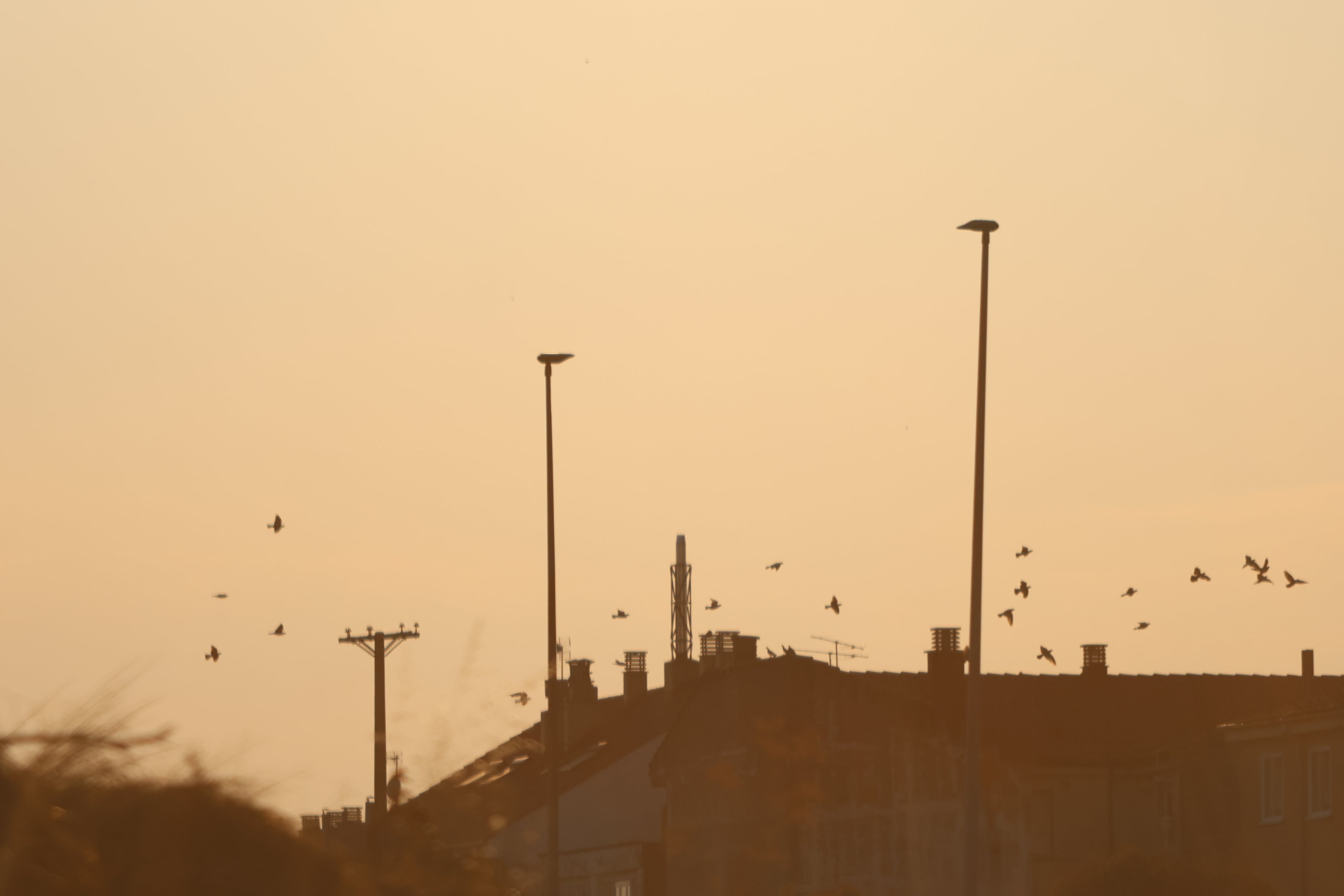 The electrical system and telecommunications overcome the total solar eclipse in Spain without incidents