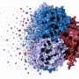 Discovering a new layer of control for a decades-old leukemia drug