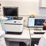 AI maps tumor cells that may seed later metastases
