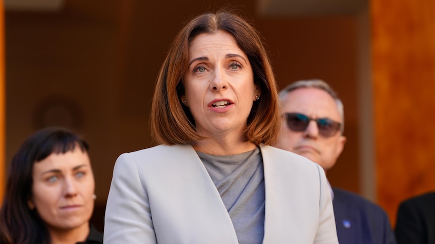 Wells willing to change digital harm proposal to win Coalition support