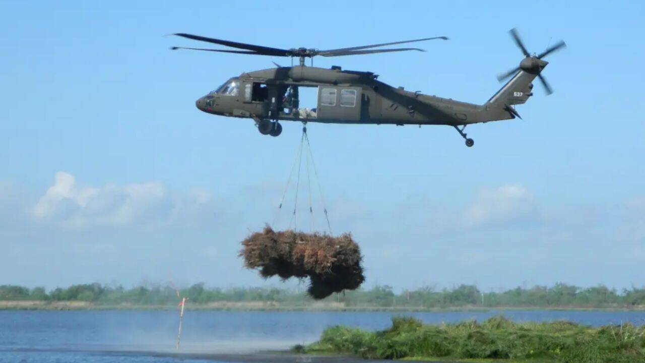 New Orleans uses 9,000 Christmas trees to restore coastal marsh