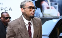 Chris Brown Contests $13M Dog Attack Verdict Over ‘Inflammatory’ Rihanna Assault Mention