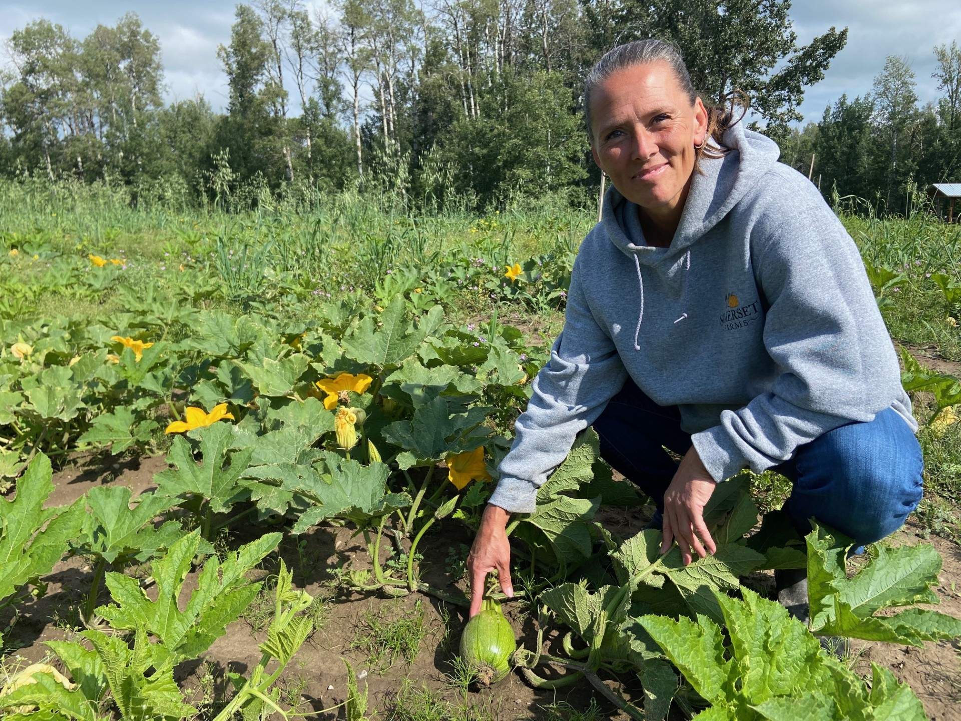 Pumpkin problems: Alberta’s wet summer affecting annual crop