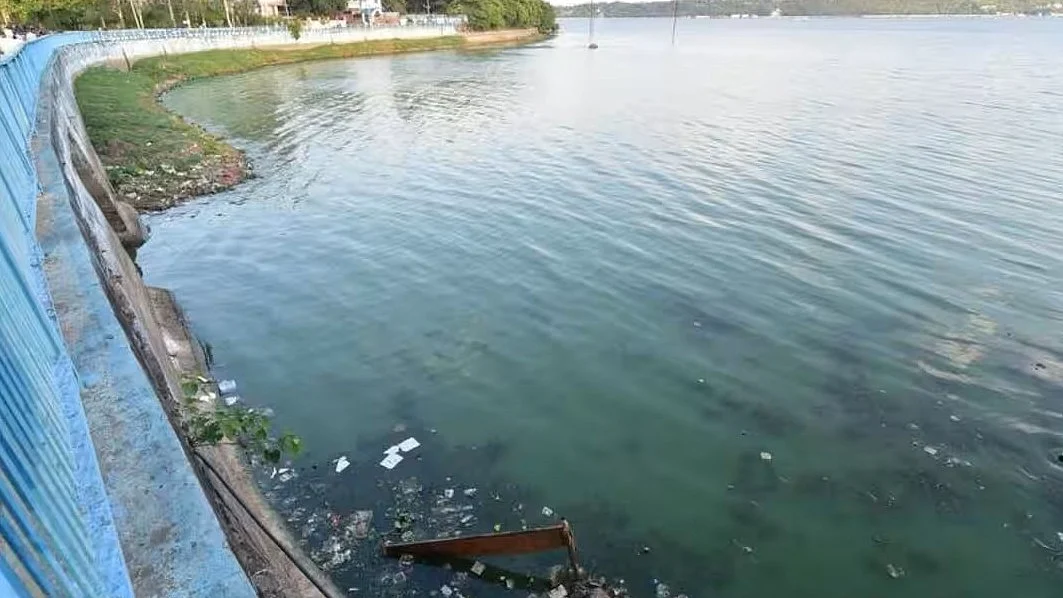 Bhopal NGT Order: BMC Faces Action Over Untreated Sewage, Tree Damage And Wetland Issues