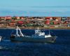 Falklands pause Loligo squid fishing for two weeks over low biomass