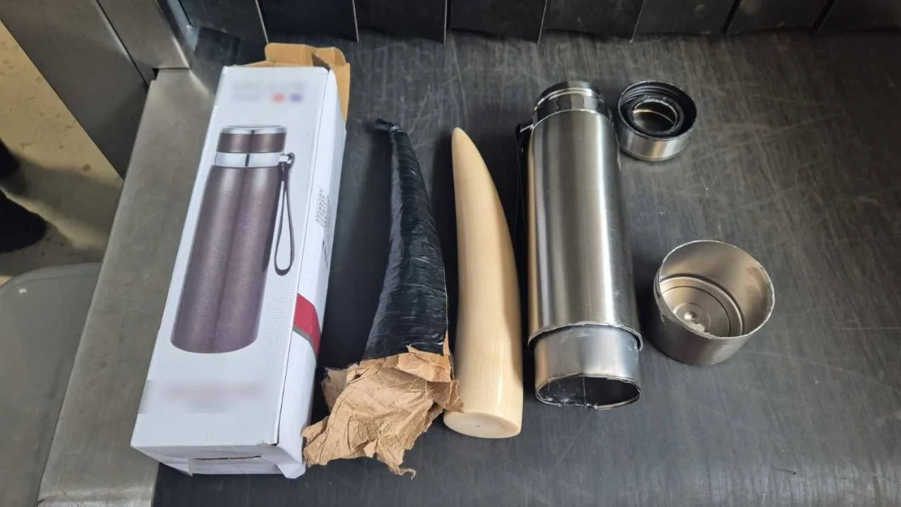 Elephant ivory tusk hidden inside modified tumbler seized at Keppel Entrance — Indonesian crew member arrested