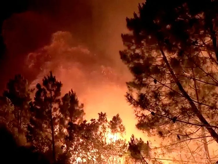Two injured in wildfire on Spain's Costa del Sol