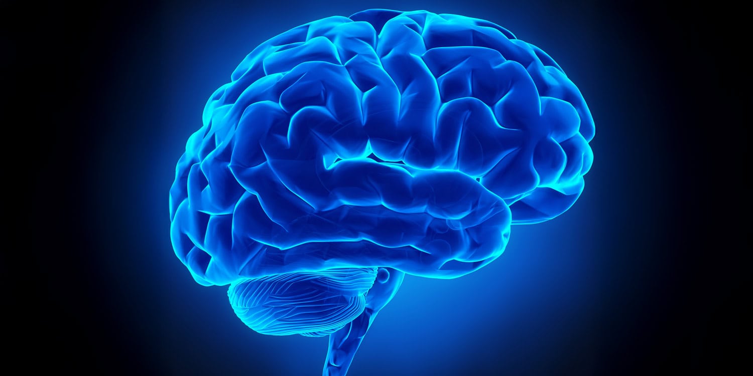 Evolving political views linked to changes in brain activity
