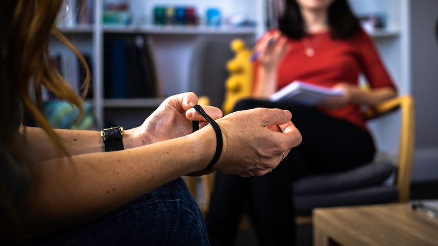 Mental health experts anticipate another rise in reports in census