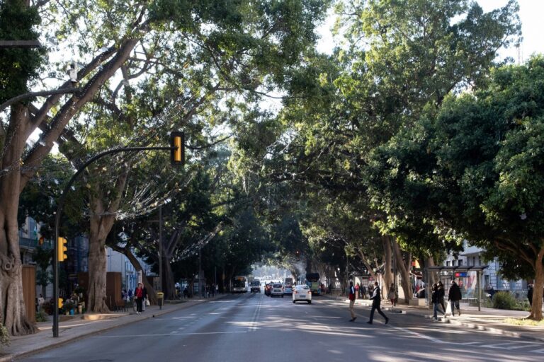 Urban heat islands have solutions; many tropical cities can’t afford them