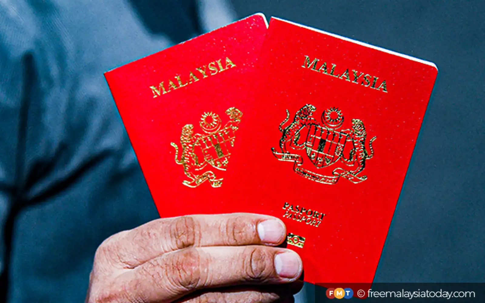 Passport blunder shows serious failure in planning and testing, says MP
