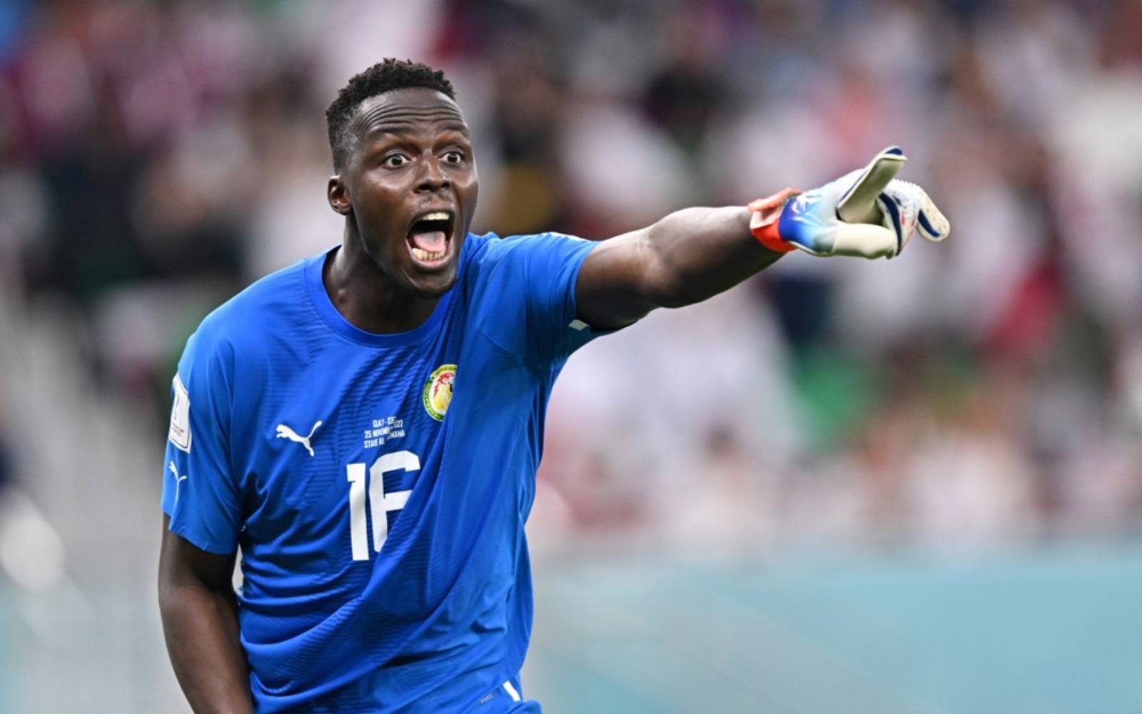 Senegal goalkeeper Mendy retires from international football