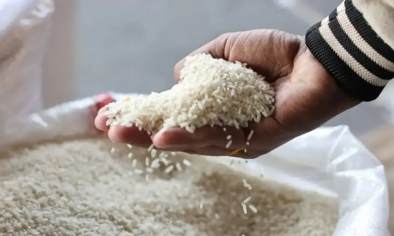 Australia rejects India’s Basmati trademark bid