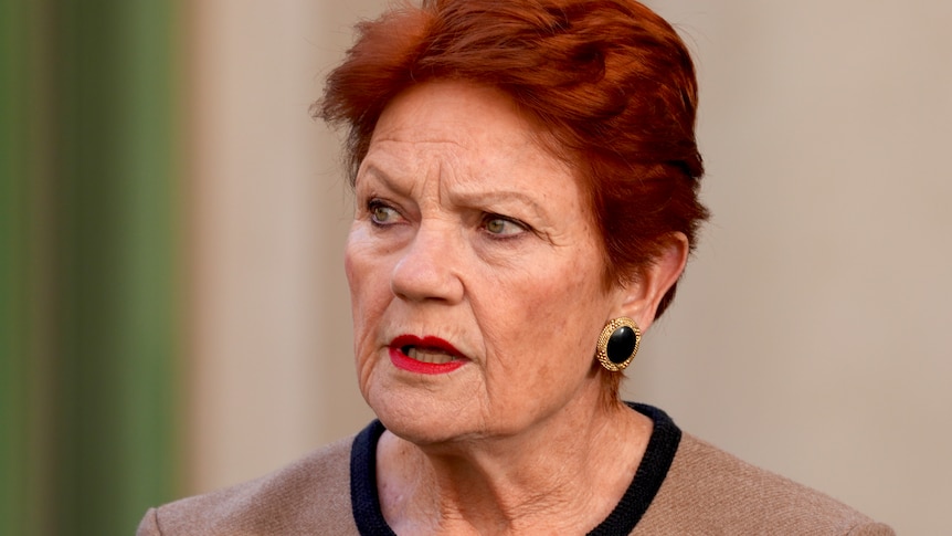 Hanson swiftly condemned for labelling Indigenous Australians 'primitive race'