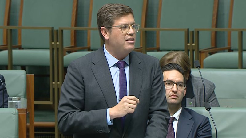 ‘Weird mates’: Brethren ‘up to their eyeballs’ in far-right election plot, Labor tells parliament