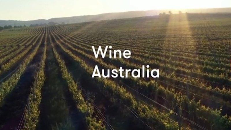 Australia's wine industry is shrinking