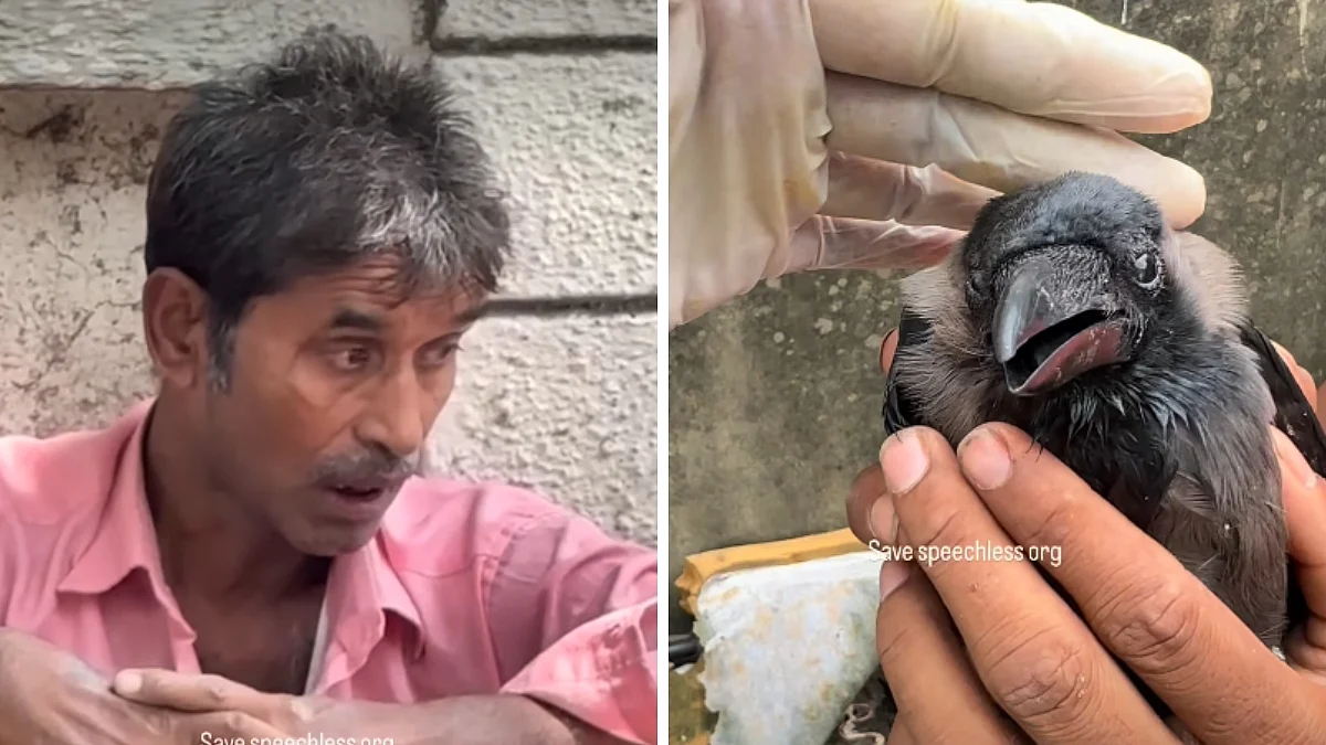 Nagpur Shocker: Drunk Man Allegedly Carries Tied-Up Crow To 'Eat', Rescuers Save Bird; Video Viral