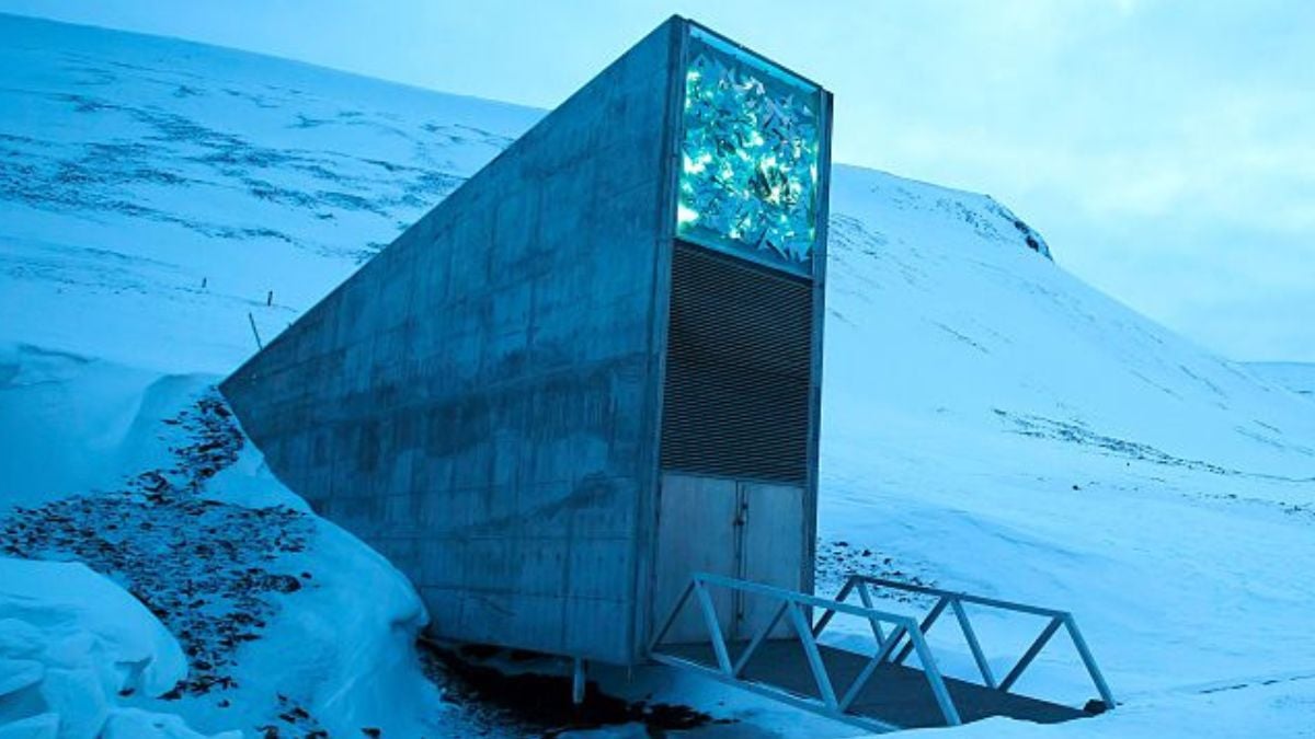 Scientists Identify The 'Doomsday' Seeds That Could Last The Longest