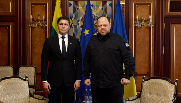Ukrainian speaker, Lithuanian PM discuss support for Ukraine's energy sector