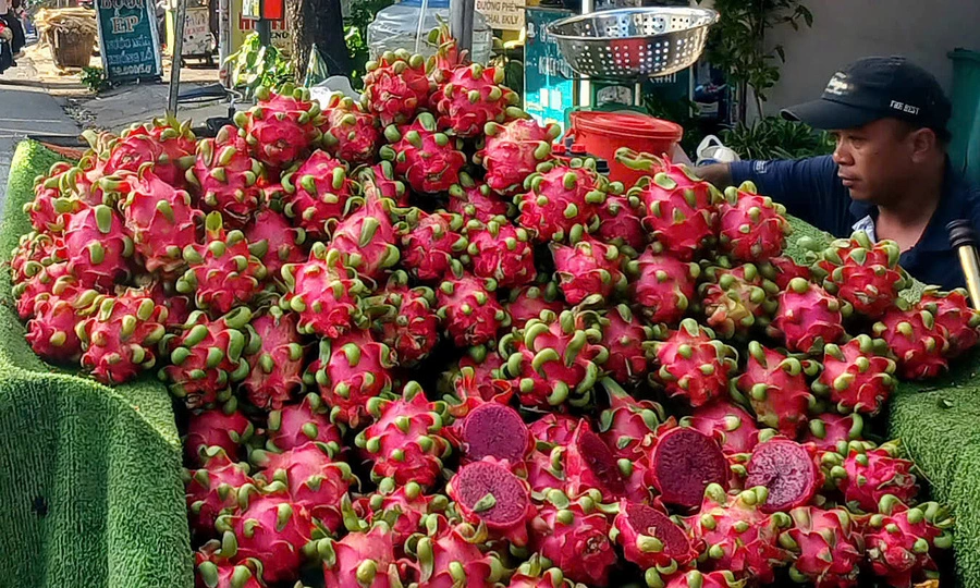 Dragon fruit prices shoot up as rains affect yield