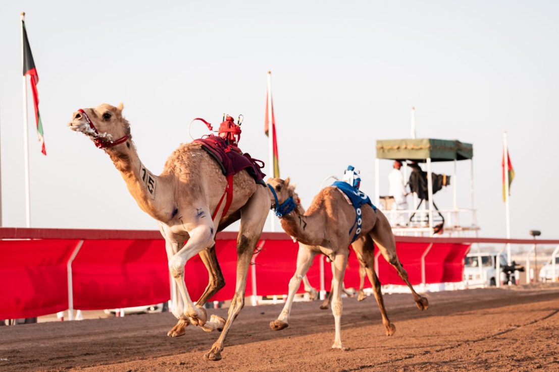 Inside Paul Pogba’s Saudi camel racing club Al Haboob