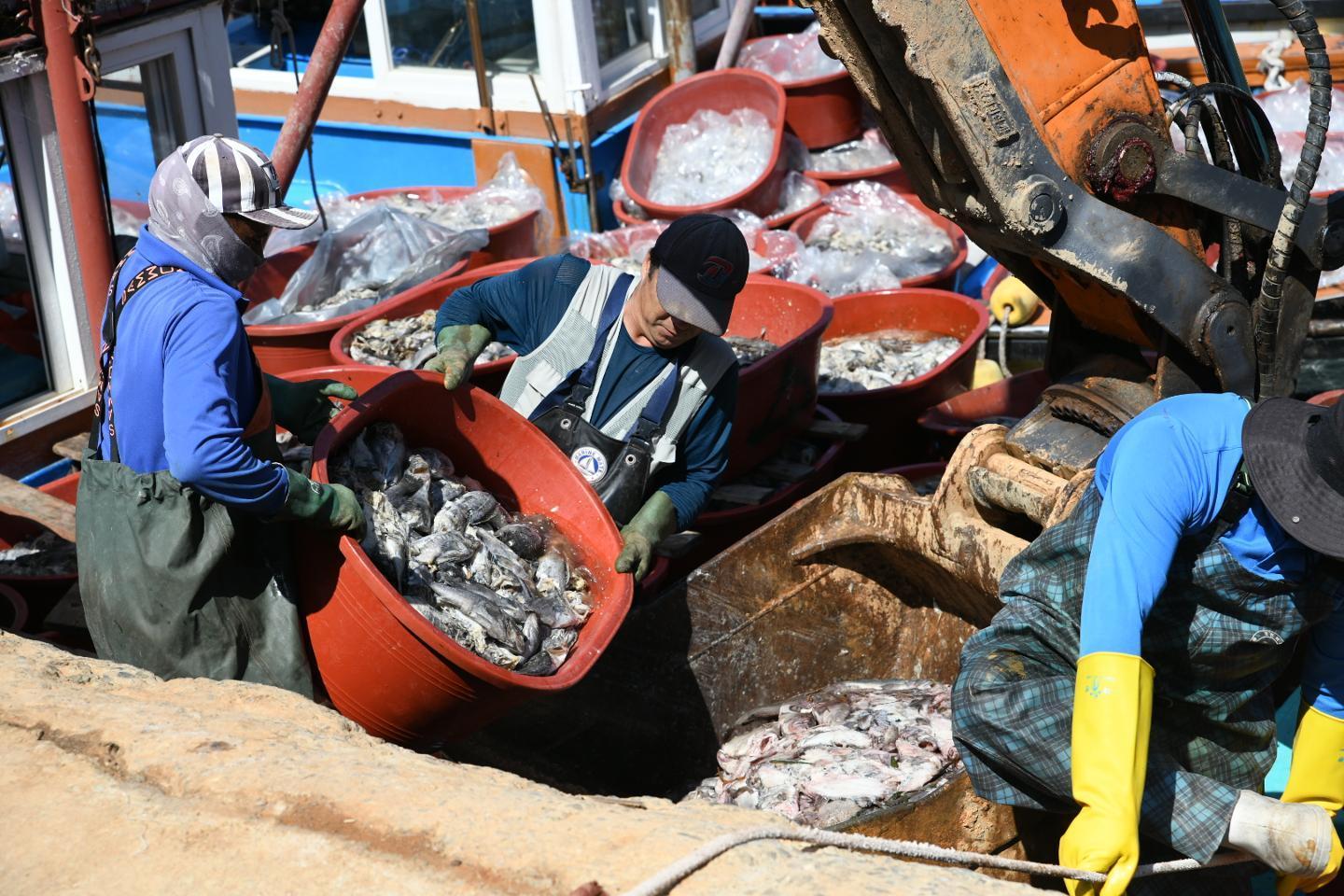 Korea's aquaculture takes full blow of climate change