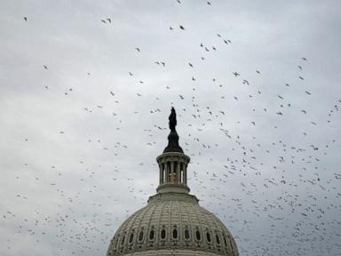 Military funding, AI and more: Congress returns for short stint before bolting again