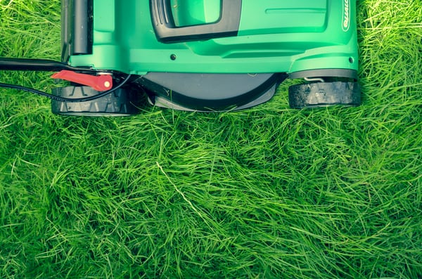 The best lawn tool brands of 2026, ranked by Consumer Reports