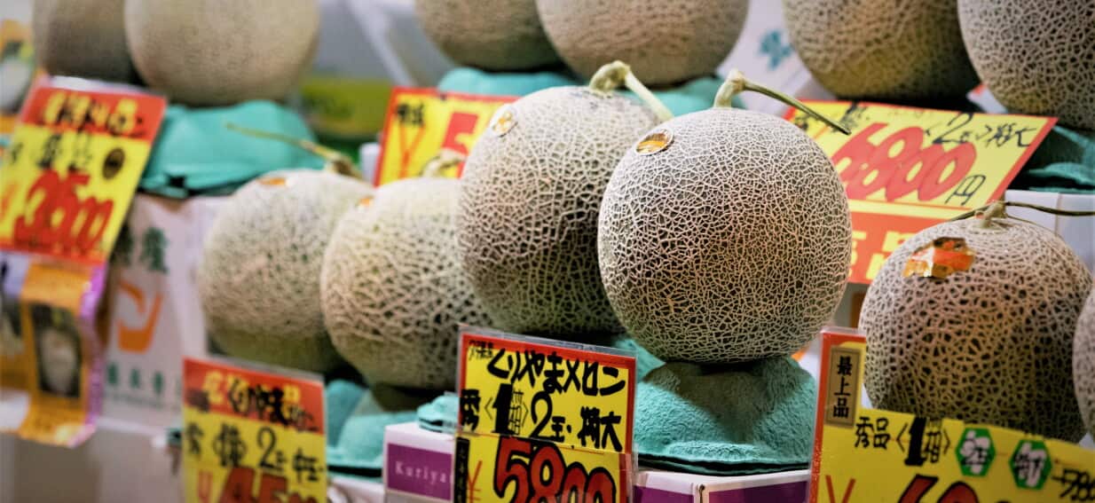 A melon, or a message? The prized fruit at the centre of the Albanese controversy