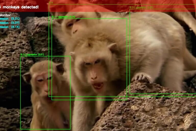 Nepal enlists AI to help fight against crop-raiding macaques