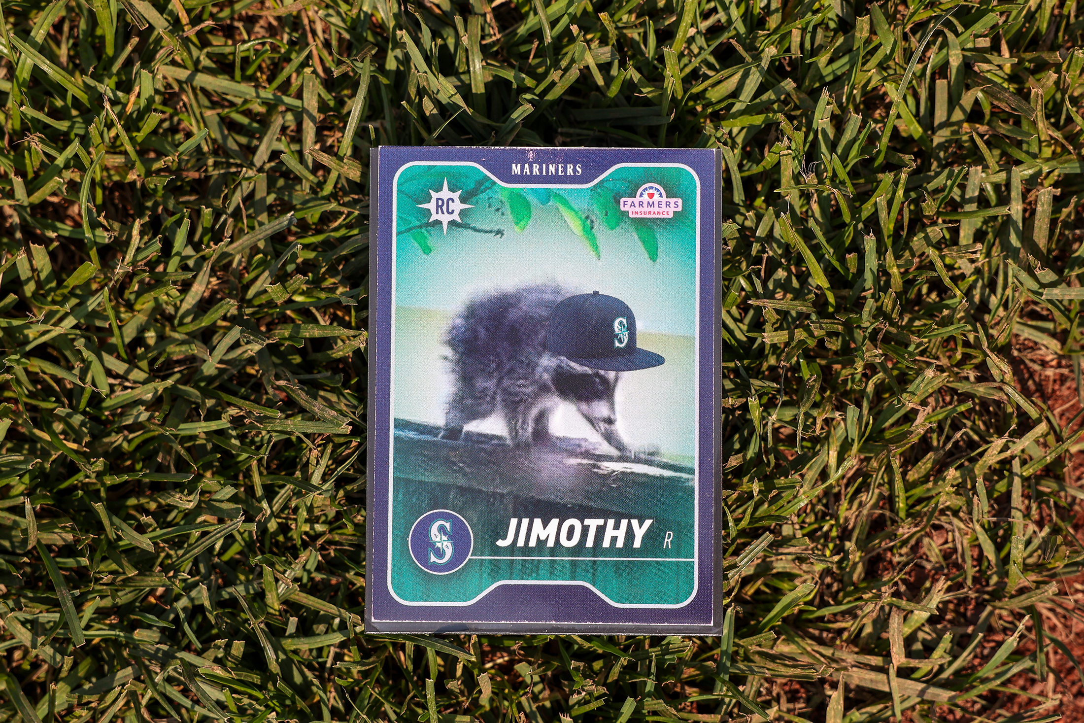 A 13-Year-Old Turned a Free Trading Card of a Viral Racoon Into $20,100: ‘Every Dime Is Going to Her College Fund’