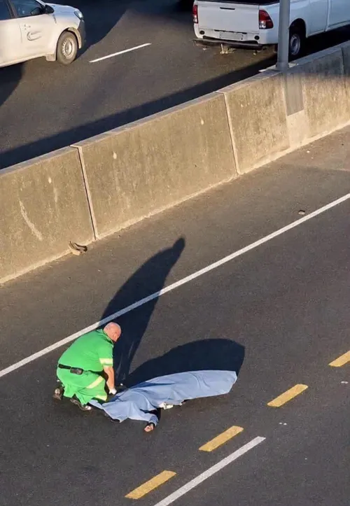 Suspected teen smash-and-grabber knocked dead on N2
