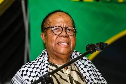 Will Naledi Pando be the ANC's key to reclaiming Johannesburg?