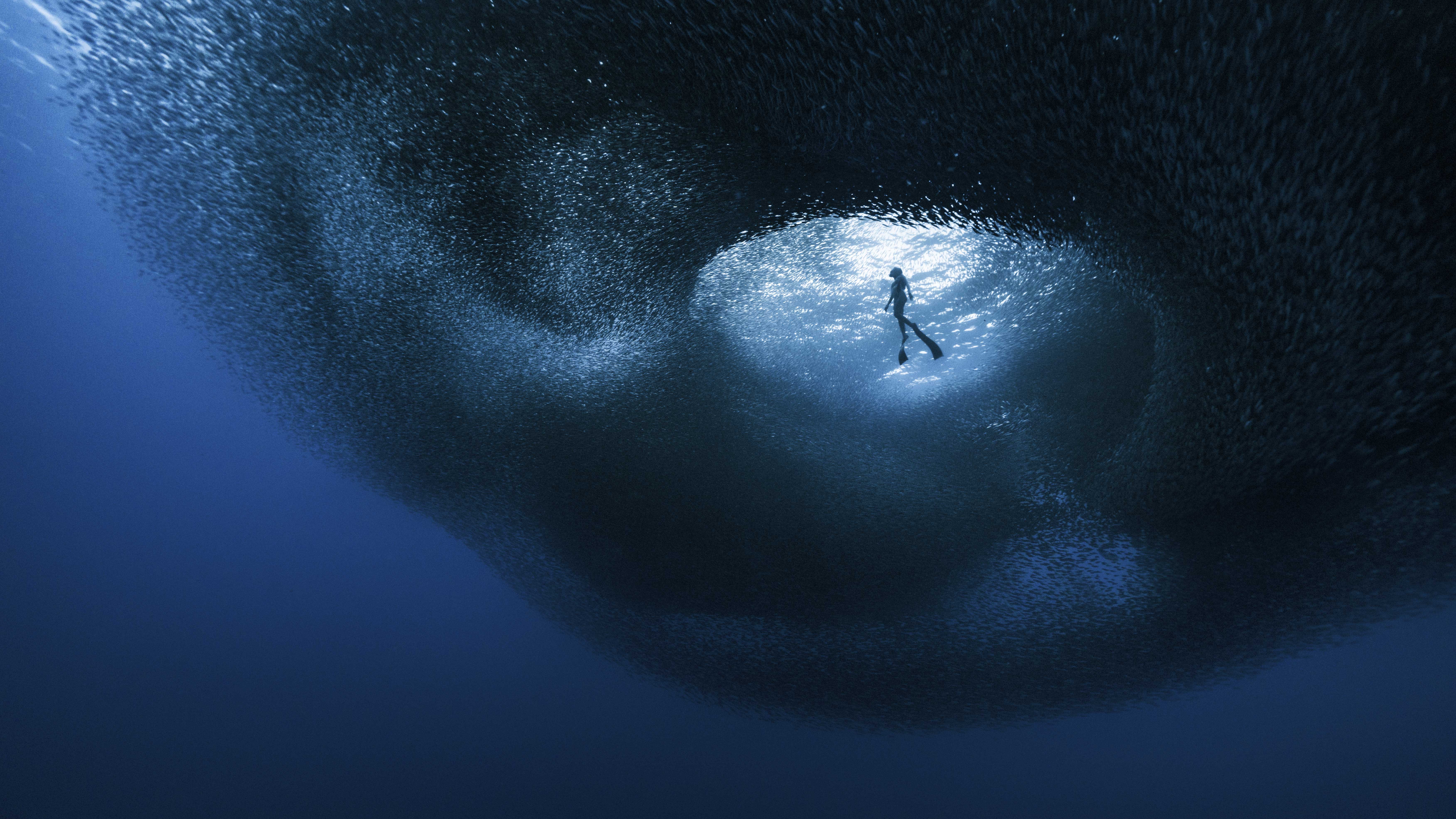 Ocean Photographer of the Year 2026 Finalists