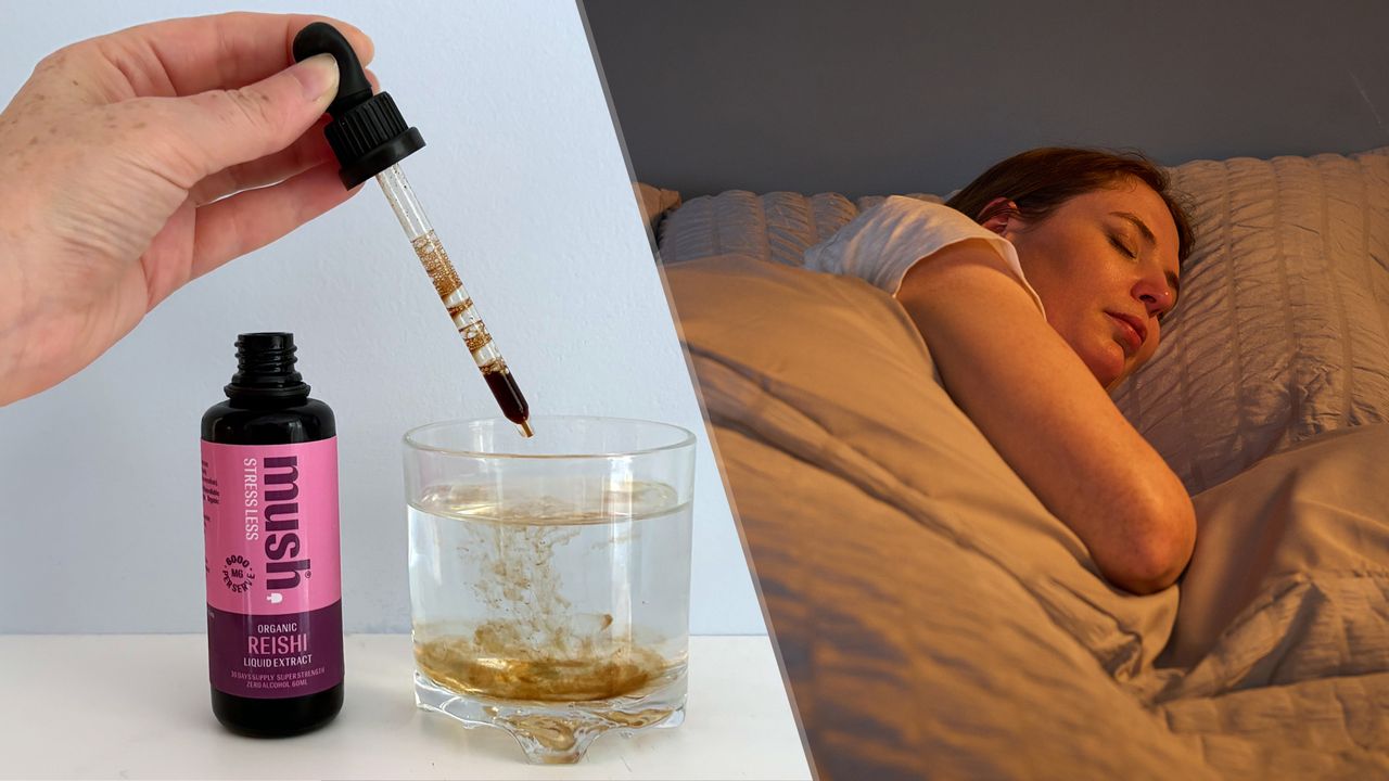 I kept waking up at 3 a.m. so I tried reishi and lion's mane adaptogens for 30 days — here’s what happened to my sleep score