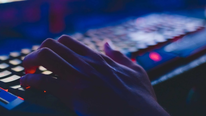Platforms failed to stop death threats against activists, report says