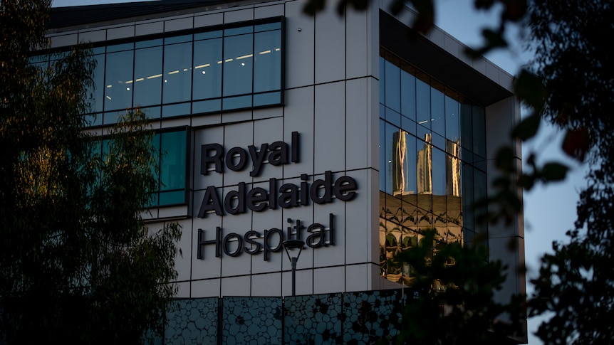 Calls to investigate practice of patients kept in SA hospital corridors