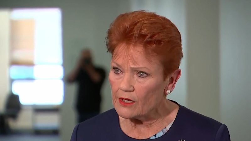 Hanson offers qualified apology over offensive Indigenous remarks