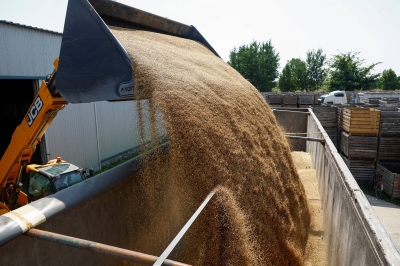 Ukraine’s farmers despair as Russia’s Black Sea blockade traps their harvest