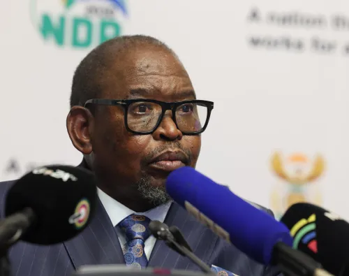 Municipalities report 236 disciplinary cases and 313 financial-offence charges