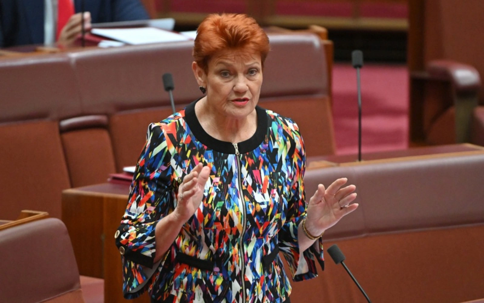 Australian far-right leader apologises for ‘primitive’ Indigenous remark